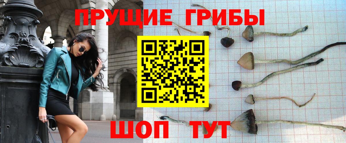 Дальнереченск  купить наркотик  Вход с VPN  Псилоцибиновые грибы мухоморы 